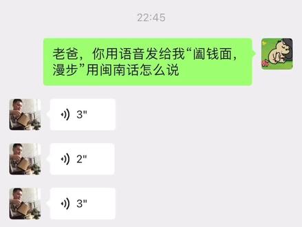 闽南人也有自己的哈基米#哈基米 #闽南话