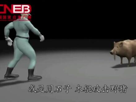 #科普 一起学习应对野猪的防身技巧!#野猪 #防身 #安全知识 @抖音小助手