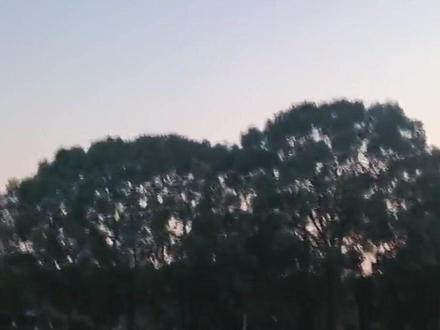 上期留的坑来填了!扑翼机不是玩具,是战场+民生的硬核神器 上一期带大家搞懂了「仿生扑翼机」和普通无人机的核心区别,评论区全在催更 “到底能用来干嘛”—— 今天直接填坑,上硬核应用清单!✈️
【3 大核心场景,每一个都戳中需求痛点】
▪️物流运输:山区 / 海岛 / 城市末端 “无死角送达”!垂直起降 + 低速悬停,比多旋翼续航高 30%,急救药、哨所补给随叫随到~
▪️军事应用:未来战场的 “隐形杀手”!外形像鸟 + 雷达难探测,蜂群侦察、干扰、诱饵,低调又能打!
▪️救援 / 测绘 / 生态监测:复杂环境 “全能选手”!地震废墟找幸存者、森林火情巡航、农田高精度测绘,飞得久、钻得深、稳得一批!
总结下来:扑翼机不是 “花活”,是为复杂环境而生的飞行平台 —— 更强机动性、更好隐蔽性、更长续航,特定场景直接碾压同类设备!💪
当然它也有提升空间(载荷、抗极端天气还在升级),但这波应用潜力谁看了不心动?
👉 视频里有真机飞行 + 动画演示,戳下方链接直观感受 “机械飞鸟” 的硬核实力!
下期更狠:扒一扒扑翼机的翅膀怎么拍起来?控制算法有多复杂?
评论区聊聊:你觉得哪个场景最实用?或者你还想解锁什么应用?
#扑翼机 #扑翼鸟 #具身智能 #鹰瞰智翼