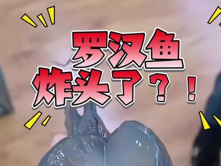 看图识鱼丙#科普 #观赏鱼 #观赏鱼养殖