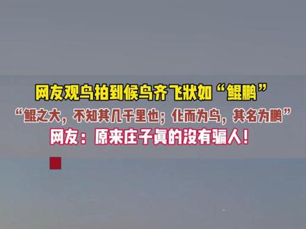 原来庄子没骗人!网友拍到候鸟齐飞,状如鲲鹏的奇景。逍遥游中的描写具象化了,原来鲲鹏真的存在!