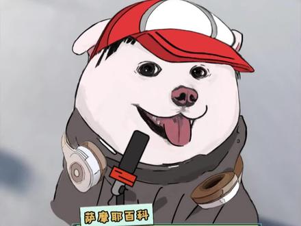 萨摩耶到底怕不怕冷?还真不好说! #萨摩耶 #萨摩耶知识 #狗狗怕冷吗 #神奇动物在抖音 #假如你有冬日奇遇任意门