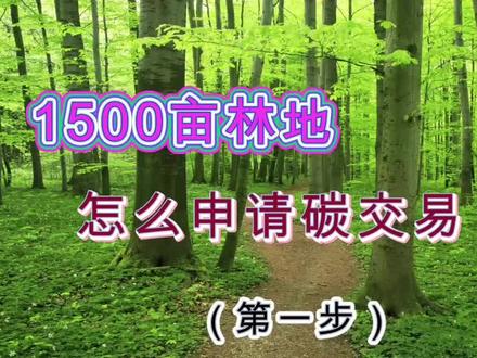 1500亩林地,怎么申请碳交易?第一步( #林地碳汇 #碳交易