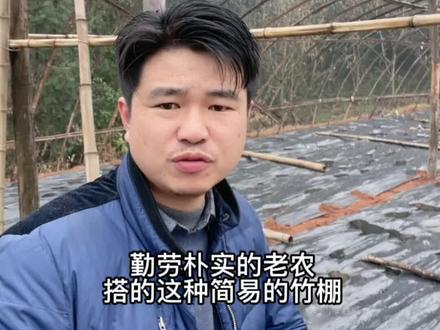 随说农村到处都有的竹子没用,在我们樟树港原产地可有大用#樟树港辣椒苗 #农业种植 #种菜 #乡村振兴 #抖音助农