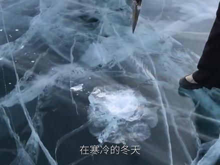 知识年终盘点 | 冰封湖面,淡水鱼会不会冬眠? 在寒冷的冬天,等湖面结了冰,鱼是不是就会在冰底下“冬眠”,一直睡到春天呢?#知识前沿派对第3季 #抖音知识年终大赏 #盘点2025年度宝藏生物