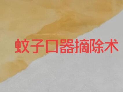 #蚊子 #观察昆虫 #蚊子给大家解解气 #昆虫 蚊子口器摘除了!