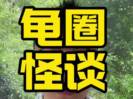 龟圈可能是我见过包容性最强的圈子 #嘿爬 #龟龟🐢 #龟圈 #养龟日常 你有没有被龟圈的人一骗再骗?你的善良有没有被别人利用?龟圈永不缺乏看似奇葩但是一而再再而三的故事