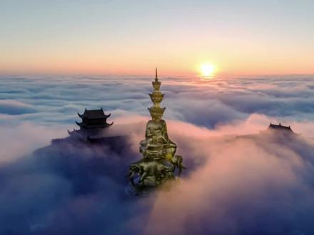 花半个月犁了一遍硬盘,终于通过视觉中国签约摄影师#视觉中国 #简单拍一夏