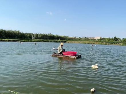 在这吃糖都不甜的年纪,我们遇见了彼此@孟塘主