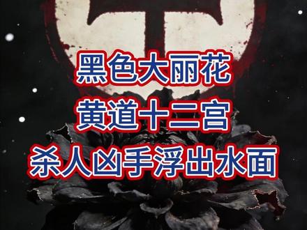 美国世纪悬案嫌疑人浮出水面 黄道十二宫与黑色大丽花嫌疑人被发现#悬疑案件