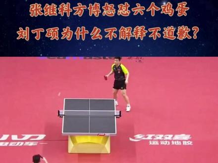张继科方博怒怼六个鸡蛋,刘丁硕为什么不解释不道歉?#张继科谈六个鸡蛋,#张继科谈输球#方博讲内斗#刘丁硕六个鸡蛋#樊振东欧冠输球