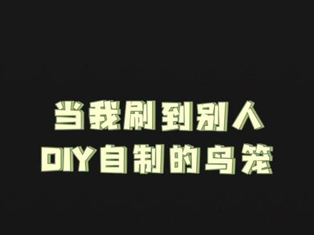 挑战百元DIY鸟柜 #鹦鹉 #鸟笼