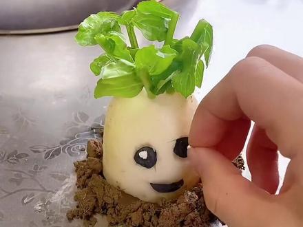 #植物大战僵尸 #粘土 #粘土教程 #粘土手工 捏植物大战僵尸系列-这是什么植物?