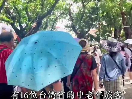 披萨事件:当同胞被欺负,大陆同胞反应泪目了!