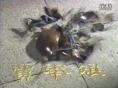 聊斋-贾奉雉-下集