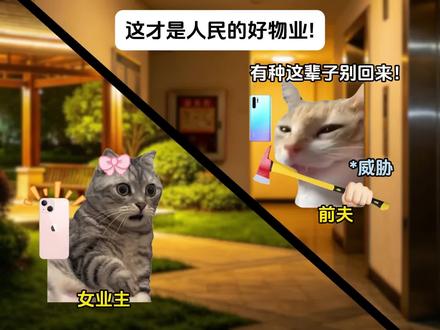 业主:物业费没有一分是白交的#猫meme#电梯战神#真实事件 #物业
