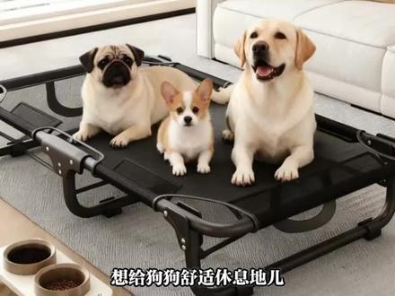 宠物床 【免安装可折叠】宠物床四季通用狗床特斯林网布透气耐磨狗狗行军床#可折叠 #狗床 #四季通用 #透气耐磨 #宠物床