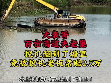 大表哥百亩清道夫老巢后续…挖机翻了…#大表哥挖机翻了