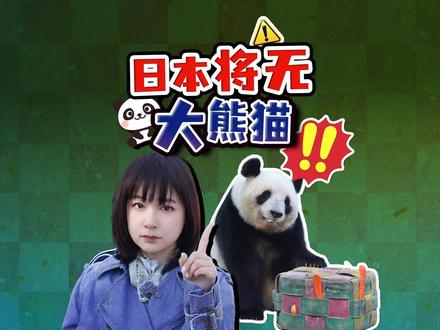 大熊猫要回国了 日本首迎“熊猫空白期” 日本民众依依惜别 上野大熊猫要返回中国,很多日本人赶到动物园告别,对熊猫恋恋不舍。52年来,日本社会经济低迷、灾害冲击、少子化焦虑,熊猫已经成了日本人的精神寄托。
#全球创作者计划 #热点零距离 #大熊猫