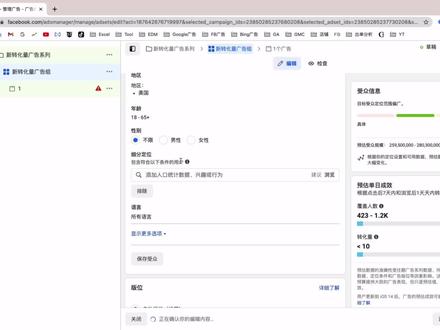 Facebook Ads从入门到精通:第4节——广告组如何定位精准人群?