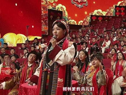 2026藏晚节目精彩回顾 |歌曲《欢喜》#2026藏晚