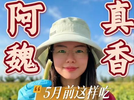 4月的阿魏最鲜美🍲 解锁阿魏更多吃法,还有哪些吃法,大家一起讨论讨论吧#阿魏饺子 #阿魏草 #新疆阿魏 #阿魏打工日记 #新农人