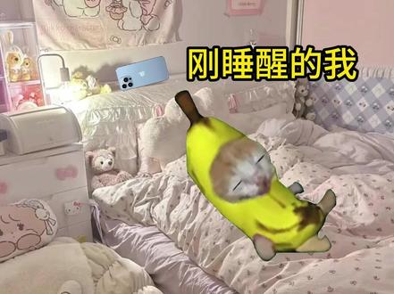 眼睛瞎在手机上~~ #猫meme #眼睛瞎在手机上 #内容过于真实 #抽象