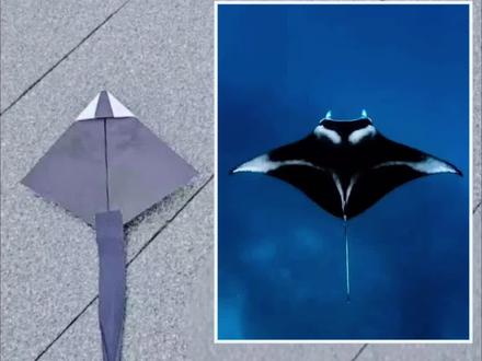 暑期亲子神操作!纸飞机Manta(魔鬼鱼)从“飘”到“飞”,1分钟教程+动力改装,带娃解锁高空快乐
#纸飞机 #纸飞机动力改装 #亲子互动 #亲子手工 #科技运动
“暑假娃天天抱着手机不放?试试这个能飞上天的魔鬼鱼!
想锻炼或发现孩子的耐心,和Ta一起做这个……
镜头里这条‘会飞的魔鬼鱼’叫Manta——加装动力后能甩尾俯冲,直接冲上高空,90度急转帅到尖叫!
👉🏻 视频里藏着1分钟超简单教程:从折纸到塑形,连5岁娃都能跟着做;最后教你加装动力模块,普通纸飞机秒变‘空中战斗机’~
暑假和娃一起折、一起装、一起追着飞机跑,比窝在沙发刷视频有意思多了!
想要同款Manta的动力组件?戳购物车直接带走,现在下单还能解锁隐藏飞行技巧~
悄悄告诉你,这个动力组件还能适配100+款纸飞机和飞行器,均摊成本不到1元,性价比是不是超爆,飞腻了或者飞坏了任意一款,再让和宝贝重新做一架新的,教程在粉丝专区会不断更新,一张普通A4纸或同等大小材料即可完成机身制作。超方便、超简单,即减少了买玩具的重复开支,又锻炼了还孩子动手动脑科学实验精神和创意创新能力,跨学科知识还得以发挥应用……
动起来,暑假就是最佳起飞🛫时间窗口!
评论区告诉我:你家娃最想让Manta飞多高?关注我,后续更有鲨鱼/蝴蝶等仿生造型教程!”