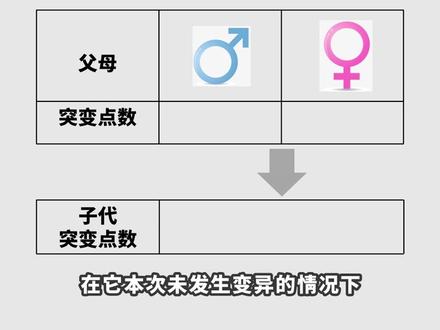 方舟变异机制基础解析!超级属性极品龙培育核心!萌新干货