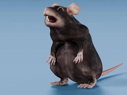 动物打喷嚏的样子 #内容启发搜索