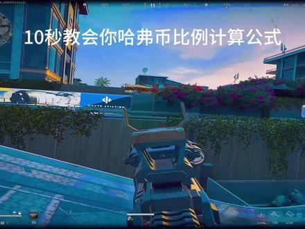 10秒教会你怎么计算三角洲账号比例