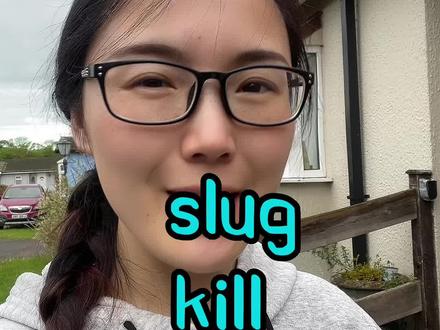 阴雨天,只能杀杀鼻涕虫为乐#英语口语 #零基础英语 #英语没那么难 #每日英语