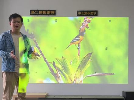 超高亮激光投影仪-当贝X5 白天靠窗实测#投影仪 #客厅影院 #测评 #装修 #投影幕布 #抗光幕布 #菲涅尔 #投影机 #家庭影院