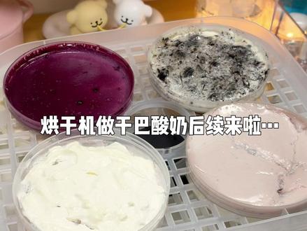 烘干酸奶后续来啦… 猜猜都烘成啥样了? #花式新吃法 #酸奶 #干巴酸奶 #自制甜品 #烘干机