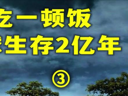 一年只吃一顿饭,却能在地球生存2亿年, #尼罗鳄为何会吞下幼崽? #鳄鱼 #动物 #科普 #冷知识