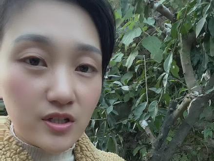 蜂箱里为什么有水流出呢?#经验分享 #农村养蜂人 #现场实拍