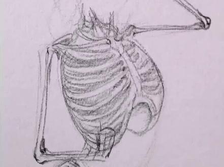 木乃伊复活过程#速写 #热门