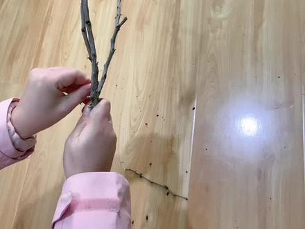 幼儿园彩泥制作梅花树,春风十里,不如有你#彩泥作品 #梅花树