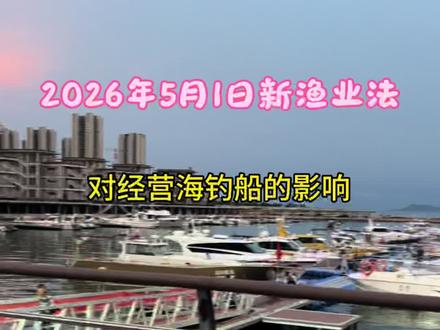 2026年5月1日起新渔业法对海钓船只影响#新渔业法 #海钓船 #船钓鲈鱼 #养船人 #捕捞船