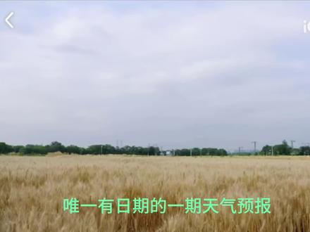 一直以为晴天在徐姐那里住着单间,第二季还会跟着蒋爸爸一起。时差造成的割裂感,以回旋镖的形式扎到我们身上。
#十个勤天 #十个勤天晴天