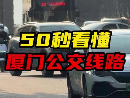 一个视频让你看懂厦门公交线路#厦门旅游 #厦门公交#厦门本地生活 #厦门同城