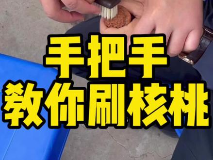 大老远跑来一个粉丝,手把手教他刷核桃,我看谁还学不会#文玩核桃知识 #万物皆可盘 #核桃表妹讲文玩核桃 #文玩核桃知识科普