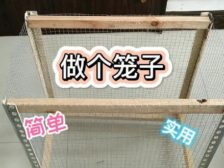 DIY一个鸟笼子,太简单了