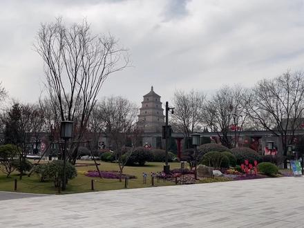 滑翔高手纸飞机,飞行20米+,世界纸飞机大师约翰柯林斯设计 #折纸飞机 #折纸 #纸飞机