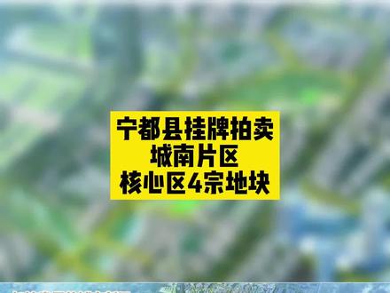 宁都集中拍卖四宗地块,都来猜下,这次拿地的都会是谁?双11见分晓 #土地出让 #城南新区 #宁都州人 #宁都