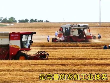 湖北襄阳雨口夺粮,中国式团结再一次具象收割机千里驰援感动外网 #外网热评 #收割机跨区作业 #中国式团结 #收小麦 #外网看中国