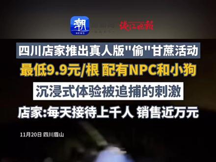 四川眉山真人版“偷”甘蔗火了!每天上千人“偷”,NPC带狗追逐