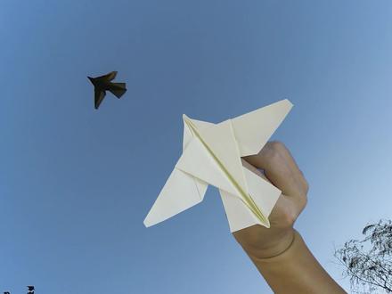简直就是鸟!高手设计,可以飞的云雀仿生纸飞机 #纸飞机 #折纸