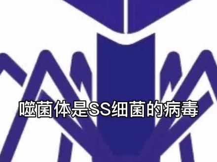 菲吉乐科 噬菌体杀死细菌的过程。