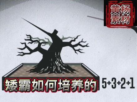 岭南手法剪枝#岭南盆景 #黄杨素材 #盆景素材 #花卉绿植 #收藏品 #黄杨盆景